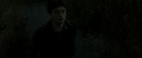 EdP-Potterish1164.jpg