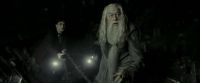 EdP-Potterish11641.jpg