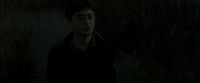 EdP-Potterish1165.jpg