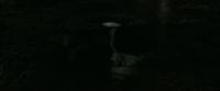 EdP-Potterish11650.jpg