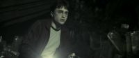 EdP-Potterish11657.jpg