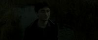 EdP-Potterish1172.jpg