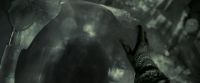 EdP-Potterish11727.jpg