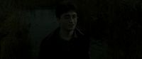 EdP-Potterish1173.jpg