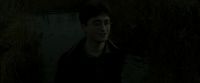 EdP-Potterish1174.jpg