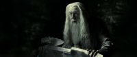 EdP-Potterish11748.jpg