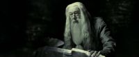 EdP-Potterish11753.jpg