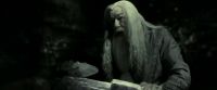EdP-Potterish11766.jpg