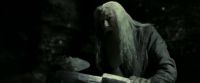 EdP-Potterish11769.jpg