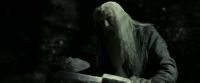 EdP-Potterish11770.jpg