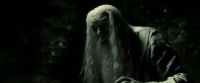 EdP-Potterish11797.jpg