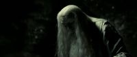 EdP-Potterish11800.jpg