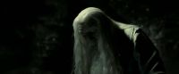 EdP-Potterish11801.jpg