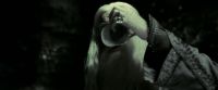 EdP-Potterish11813.jpg