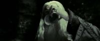 EdP-Potterish11815.jpg