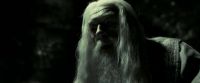 EdP-Potterish11829.jpg