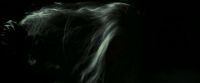 EdP-Potterish11838.jpg