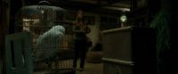 EdP-Potterish1184.jpg