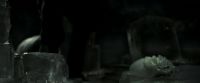 EdP-Potterish11857.jpg