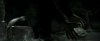 EdP-Potterish11858.jpg
