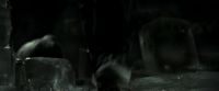 EdP-Potterish11859.jpg