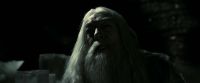 EdP-Potterish11878.jpg