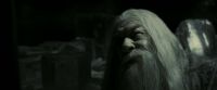 EdP-Potterish11913.jpg