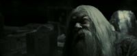 EdP-Potterish11915.jpg