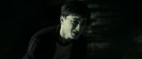 EdP-Potterish11944.jpg