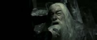EdP-Potterish11961.jpg