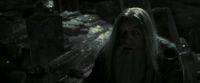 EdP-Potterish11979.jpg