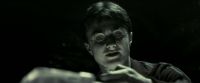 EdP-Potterish12020.jpg