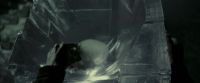 EdP-Potterish12049.jpg