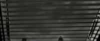 EdP-Potterish121.jpg