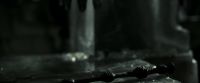 EdP-Potterish12182.jpg