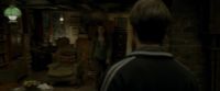 EdP-Potterish1247.jpg