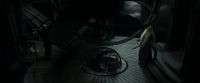 EdP-Potterish12543.jpg