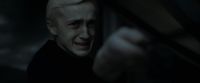 EdP-Potterish12786.jpg