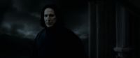 EdP-Potterish12793.jpg