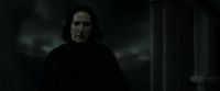 EdP-Potterish12807.jpg