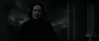 EdP-Potterish12809.jpg