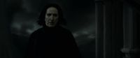 EdP-Potterish12810.jpg