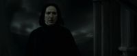 EdP-Potterish12812.jpg