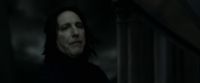 EdP-Potterish12829.jpg