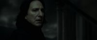 EdP-Potterish12839.jpg