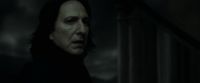 EdP-Potterish12840.jpg