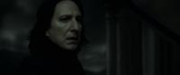 EdP-Potterish12841.jpg