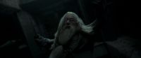 EdP-Potterish12846.jpg
