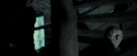 EdP-Potterish12866.jpg