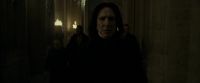 EdP-Potterish12879.jpg